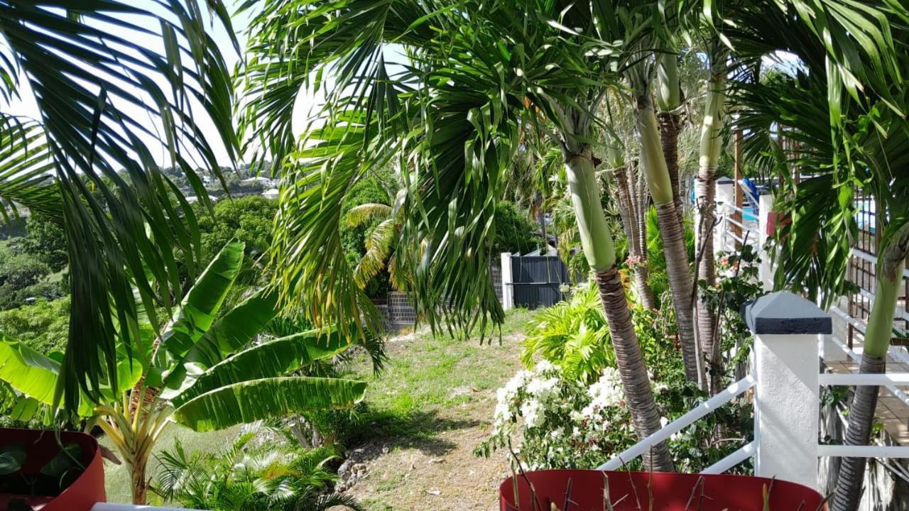 Coconing Logements Studios Et Maisons Сен-Ан Екстериор снимка